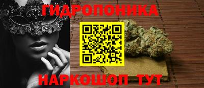 шишки Донецк