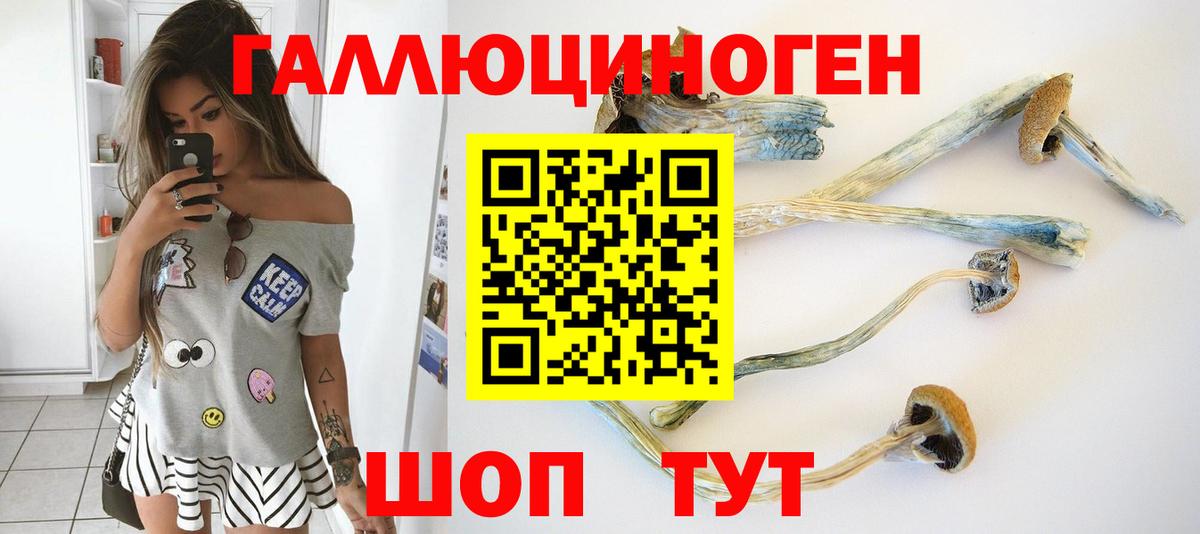 сколько стоит  Вход с VPN  Нижневартовск  Псилоцибиновые грибы ЛСД 